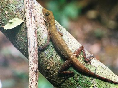 Jason's Trips - Album 3