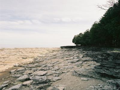 Jason's Trips - Album 5